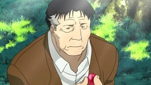 Fullmetal Alchemist 14. epizoda