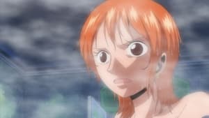 One Piece 341. epizoda
