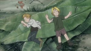 Fullmetal Alchemist 28. epizoda