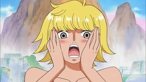 One Piece 408. epizoda