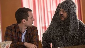 Wilfred 1. epizoda