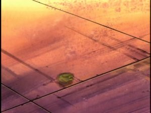 Beyblade 44. epizoda