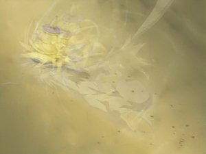 Beyblade 10. epizoda
