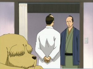 Gintama 30. epizoda