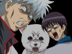 Gintama 24. epizoda