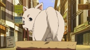 Gintama 13. epizoda