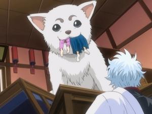 Gintama 45. epizoda