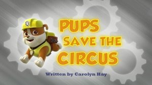 Tlapková patrola Tlapky zachraňují cirkus