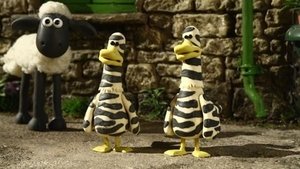 Ovečka Shaun Africká zebří kachna