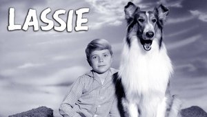 Lassie 10. epizoda