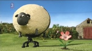 Ovečka Shaun Elektrický jezdec