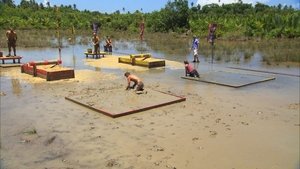 Survivor (USA) Důvěřivá a naivní