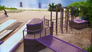 Survivor (USA) Je to můj večer