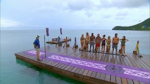 Survivor (USA) Velký zlý vlk