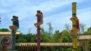 Survivor (USA) Sloučení