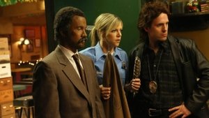 It's Always Sunny in Philadelphia 9. epizoda