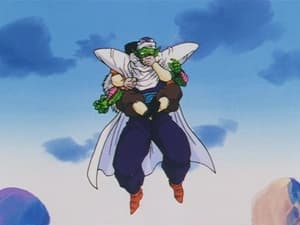 Dragon Ball Z 24. epizoda