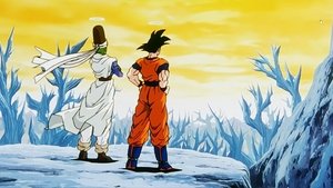 Dragon Ball Z 1. epizoda