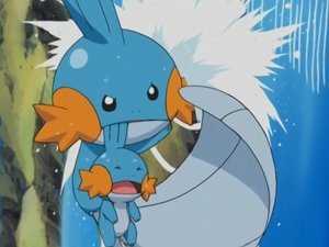 Pokémon Mise Mudkip