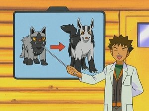 Pokémon Kousanec na pamětnou