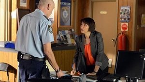 Home and Away 217. epizoda