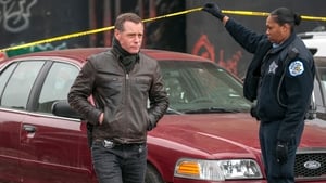 Policie Chicago Báječné přátelství