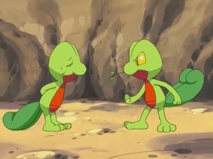 Pokémon Stromové ghetto