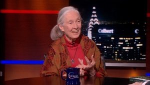 The Colbert Report 88. epizoda