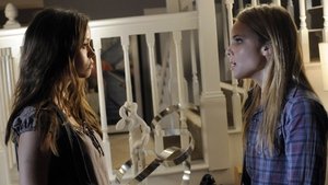 Terminátor: Příběh Sáry Connorové Allison z Palmdale