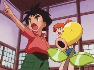 Pokémon Dobrodružství u Sproutí věže