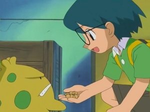 Pokémon Mámo, táto, v komoře je Skroomish