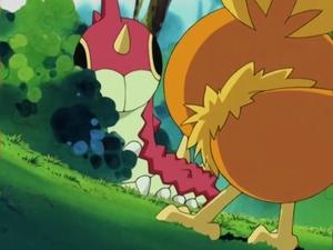 Pokémon Wurmple cimprcampr