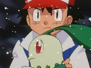 Pokémon Záchrana Chikority