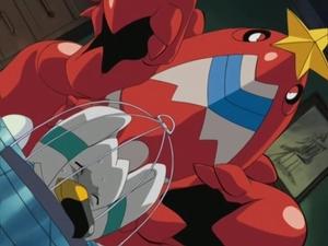 Pokémon Co dostaneš do Wingull