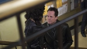 Brooklyn 99 Operace: Uražená pýcha