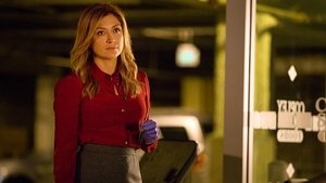 Rizzoli & Isles: Vraždy na pitevně 15. epizoda