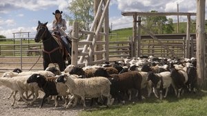 Ranč Heartland 4. epizoda