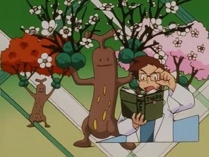 Pokémon Tak který je to pokémon?