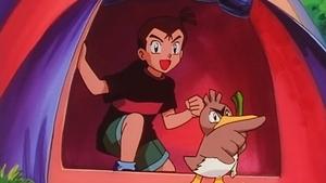 Pokémon Farfetch'd