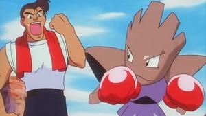 Pokémon Pokémonova pěst