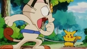 Pokémon Velké problémy