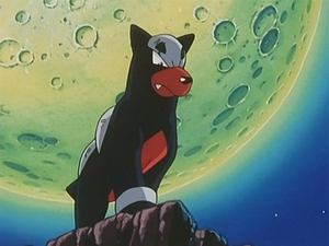 Pokémon Hodina Houndoura