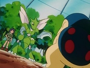 Pokémon Hmyzí zápasení