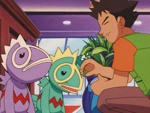 Pokémon Kecleoní schovávaná