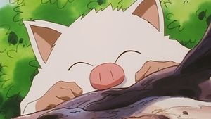 Pokémon Rozzuřený lidoop