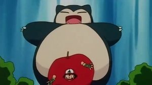 Pokémon Zápas o potravu pro pokémony