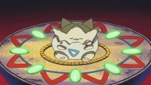 Pokémon Togepí ráj to na pohled!