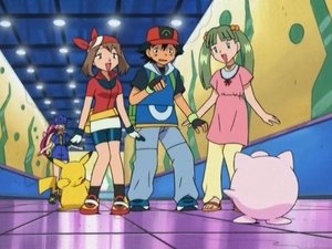 Pokémon Párty s Pokébloky