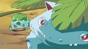 Pokémon Travní řád