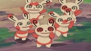 Pokémon Cesta za Spindou
